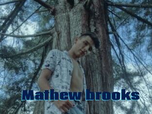 Mathew_brooks