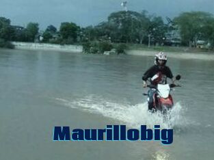 Maurillobig