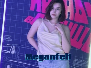 Meganfelt