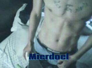 Mierdoel