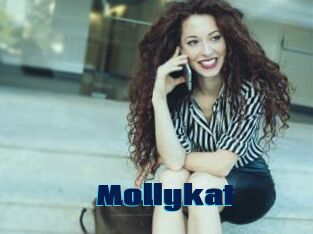 Mollykat