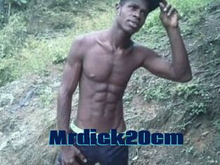 Mrdick20cm