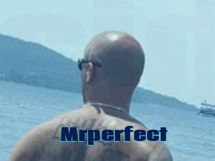 Mrperfect