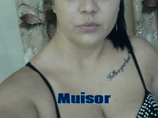 Muisor