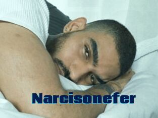 Narcisonefer