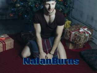 NatanBurns