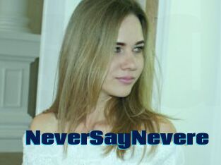 NeverSayNevere