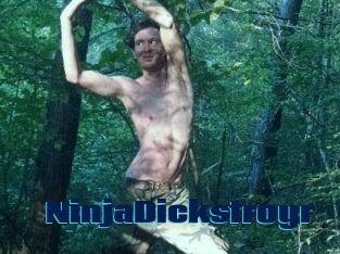 NinjaDickstroyr