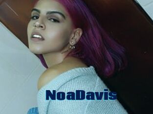 NoaDavis