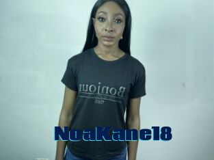 NoaKane18