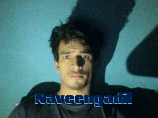Naveengadil