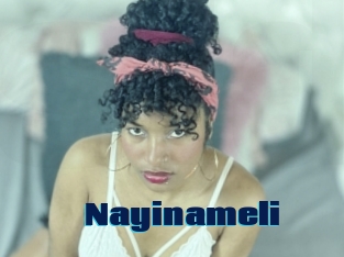 Nayinameli