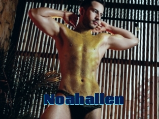 Noahallen