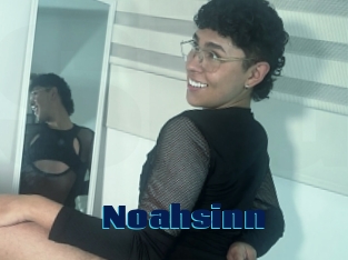 Noahsinn