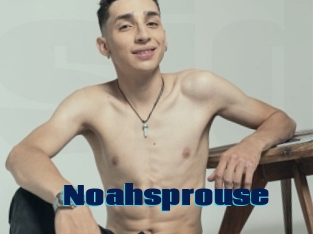 Noahsprouse