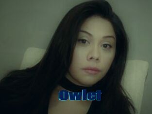 _Owlet_