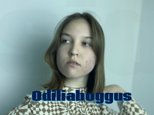 Odiliaboggus