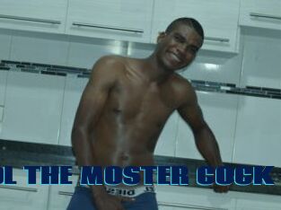 POOL_THE_MOSTER_COCK