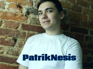 PatrikNesis