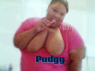 Pudgy