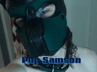 Pup_Samson