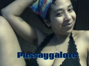 Pussaygalore
