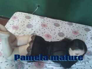 Pamela_mature