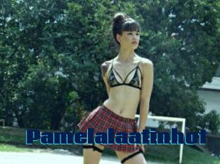 Pamelalaatinhot