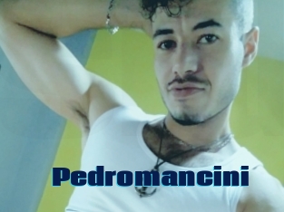 Pedromancini