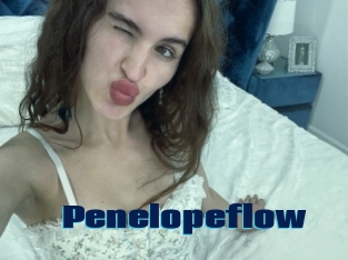 Penelopeflow