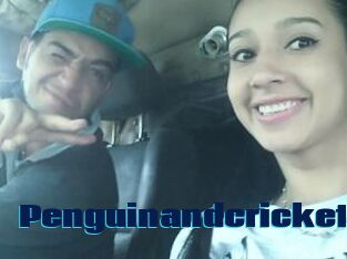 Penguinandcricket