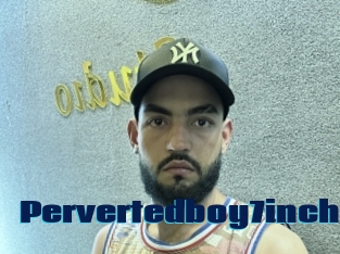 Pervertedboy7inch