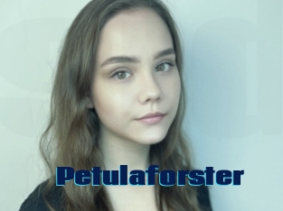 Petulaforster