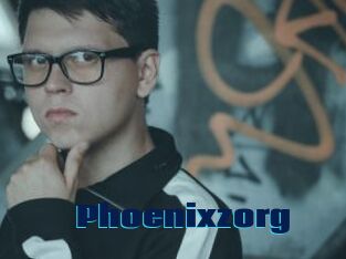 Phoenixzorg