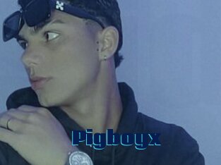 Pigboyx
