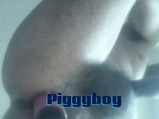 Piggyboy