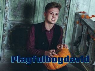 Playfulboydavid
