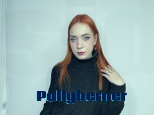 Pollyberner