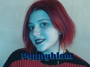 Poppyblom