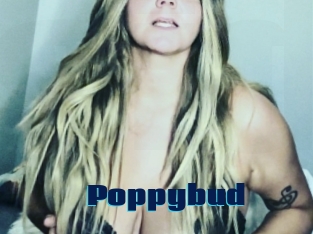Poppybud