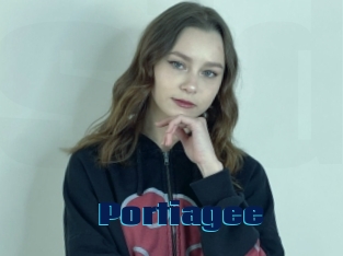Portiagee
