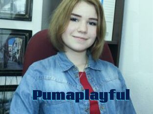 Pumaplayful