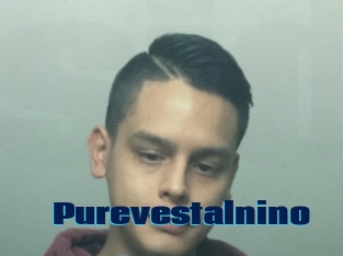 Purevestalnino