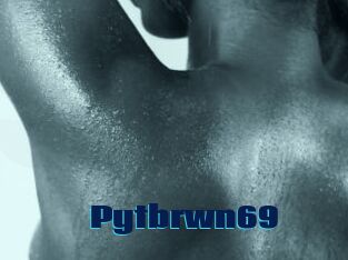 Pytbrwn69