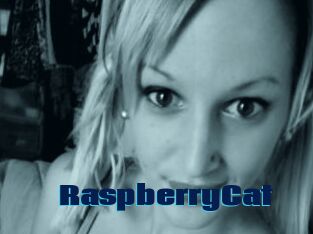 RaspberryCat