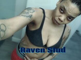 Raven_Stud
