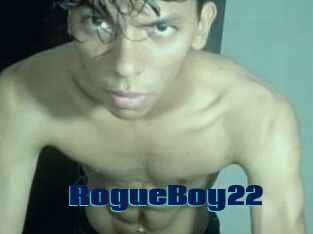 RogueBoy22
