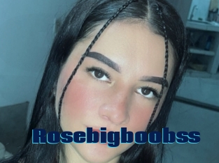 Rosebigboobss