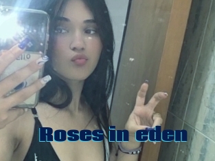 Roses_in_eden