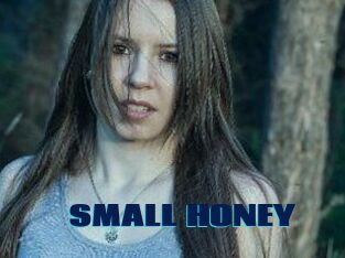 SMALL_HONEY